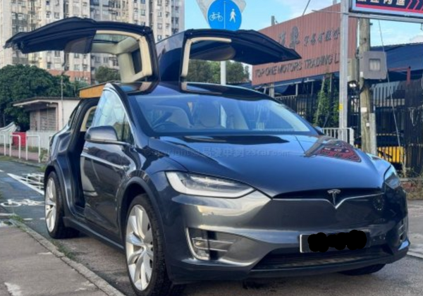 特斯拉 TESLA MODEL X 75D