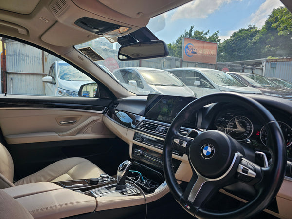 2013 BMW 520i F10