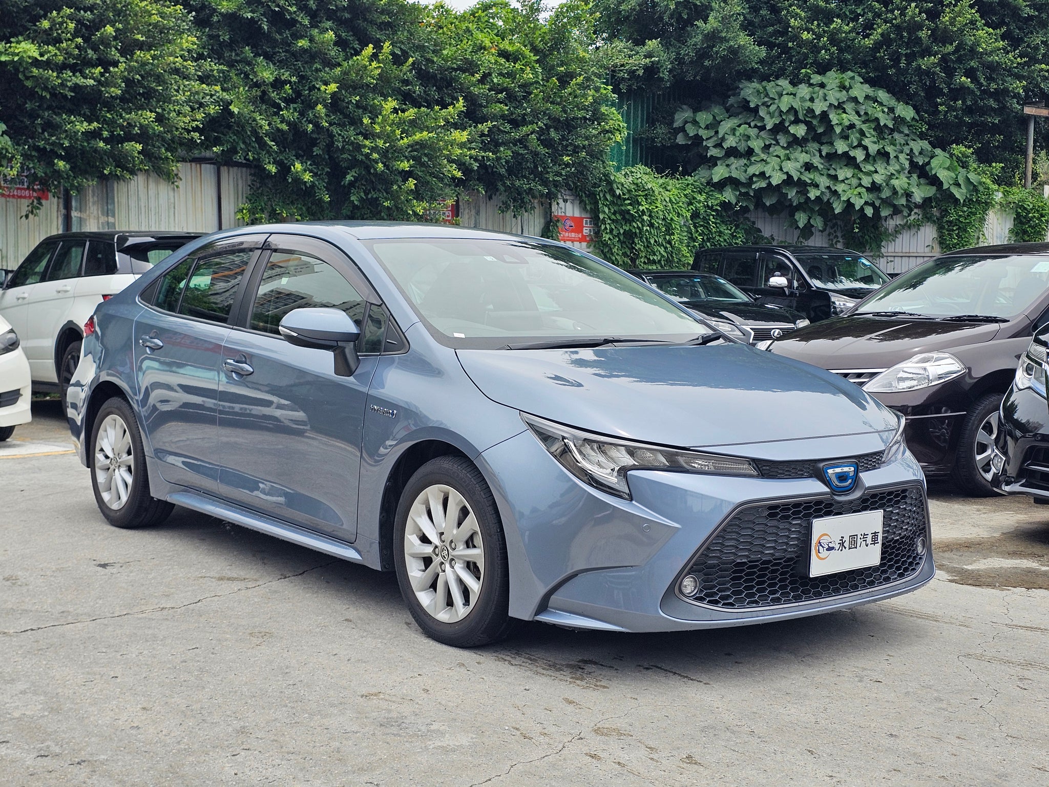Toyota Corolla Hybird 2020